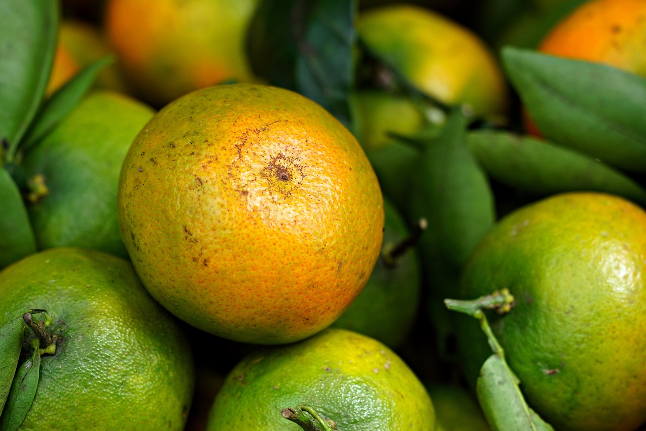tangerine fruit