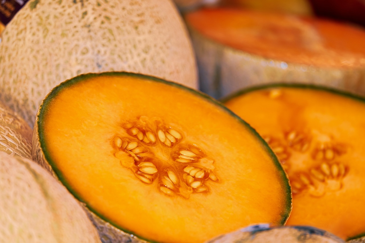 melon cantaloupe